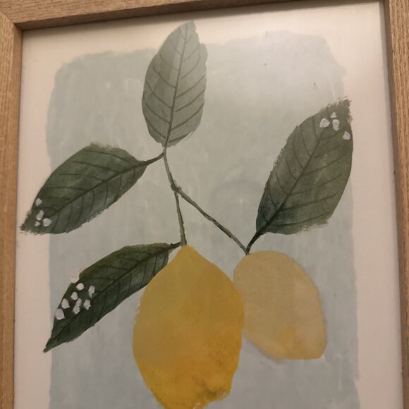 Hobby Lobby Botanical Wood Framed Wall Art Print Lemon Farmhouse 11x9x1 inches - Picture 5 of 7